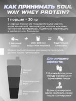Протеин сывороточный Soul Way со вкусом черничный йогурт / 900 гр 30 порций