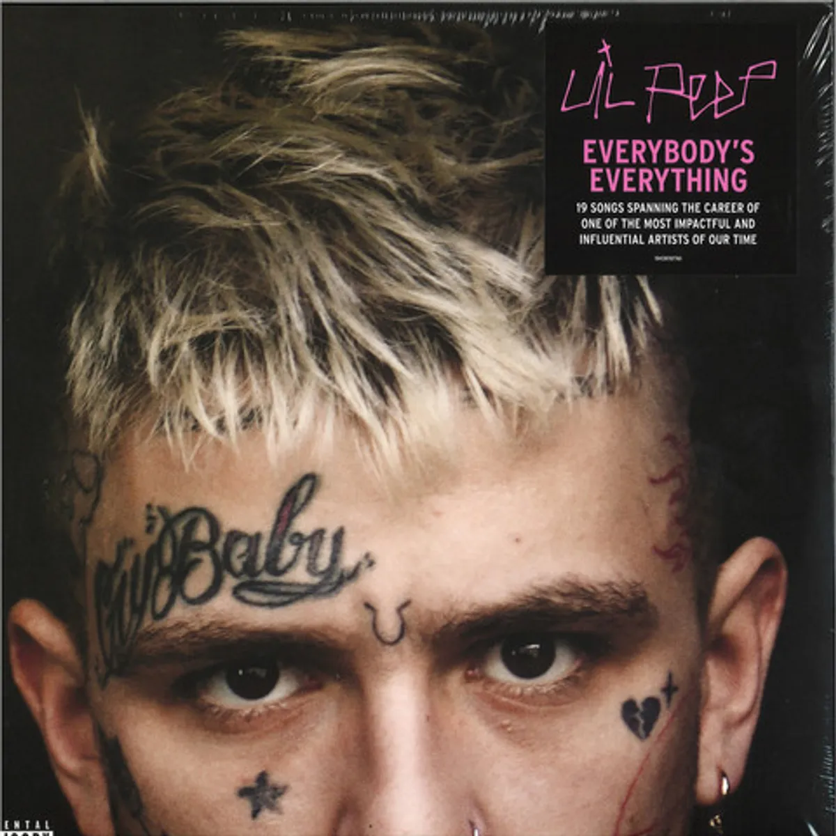 Виниловая пластинка. Lil Peep - Everybodys Everything