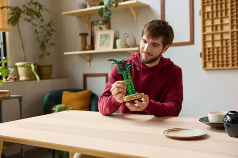 Конструктор LEGO Botanical Collection 10344 Бамбук удачи