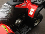 Квадроцикл ARMADA ATV 250L
