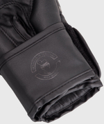 Перчатки боксерские детские Venum Challenger 2.0 Kids Black/Black