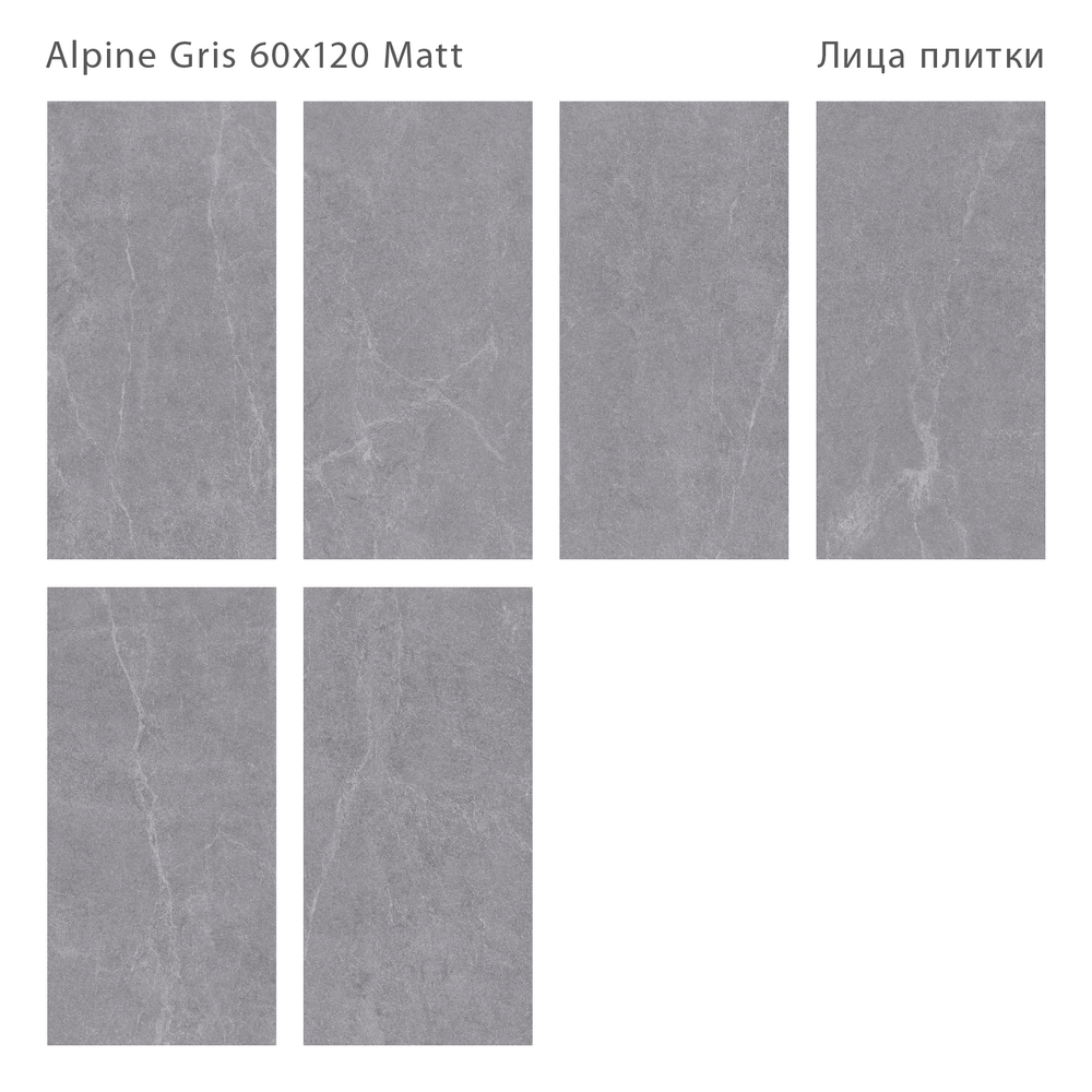 ALPINE GRIS 60x120 MATT