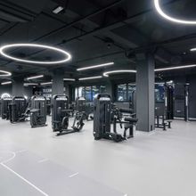 E7031 Разгибание спины. Стек 110 кг