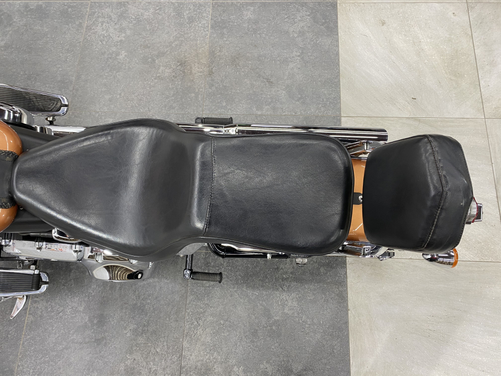 Harley-Davidson Deluxe FLSTN1580 , 2008