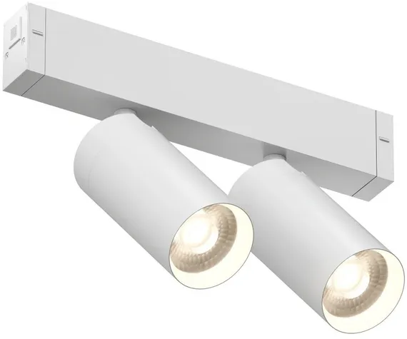 Трековый светильник SMART SPOT | СМАРТ СПОТ DK8012-WH Denkirs