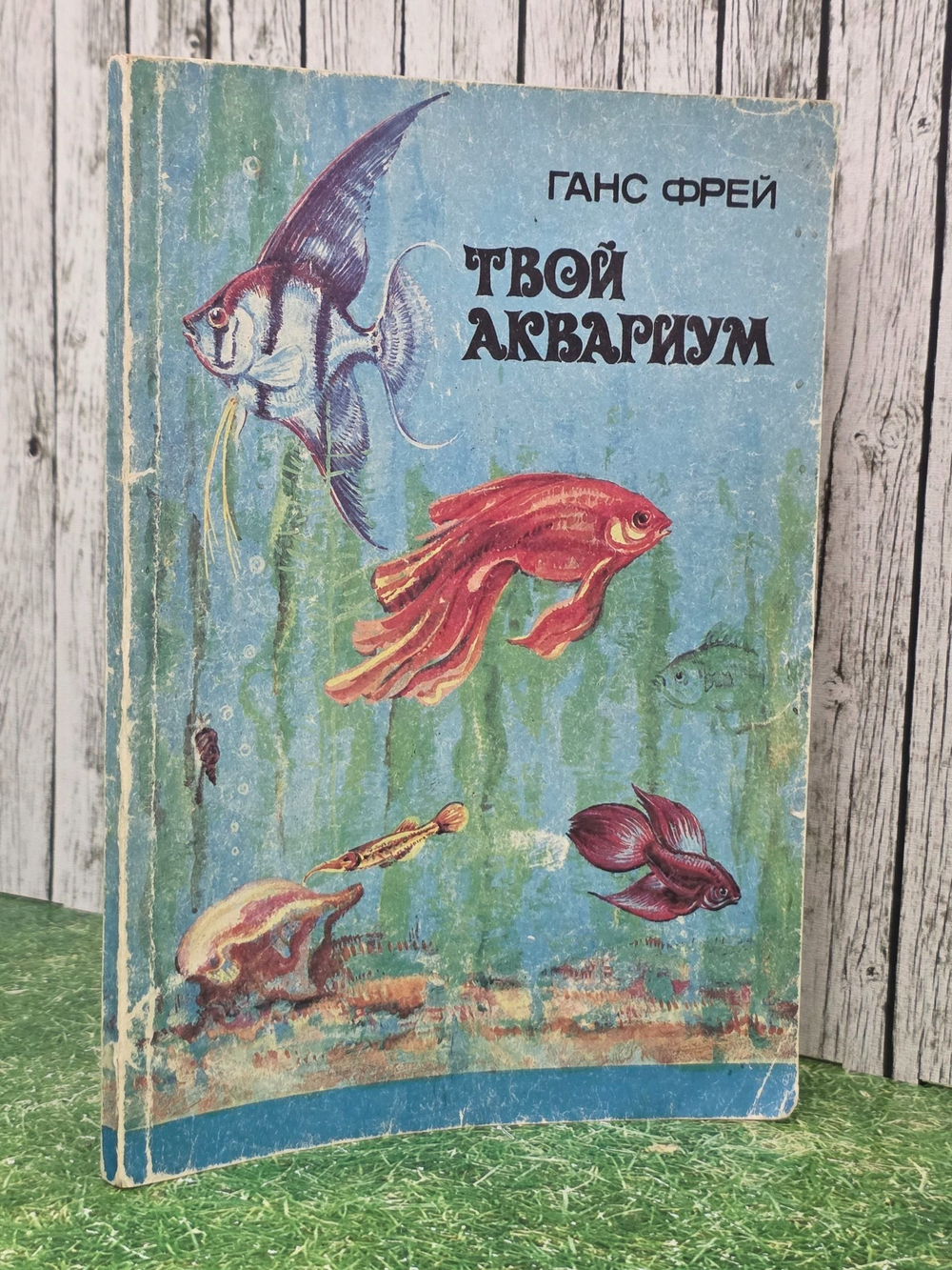 Ранс Фрей. Твой аквариум
