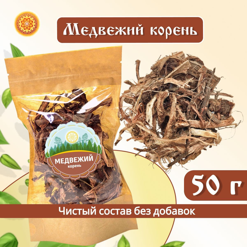 Медвежий корень Алтайский (Копеечник чайный/Красный корень).