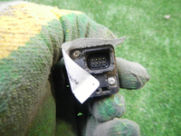 DSCN8828.JPG