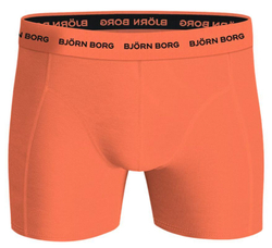 Боксерки теннисные Bjorn Borg Cotton Stretch 3P