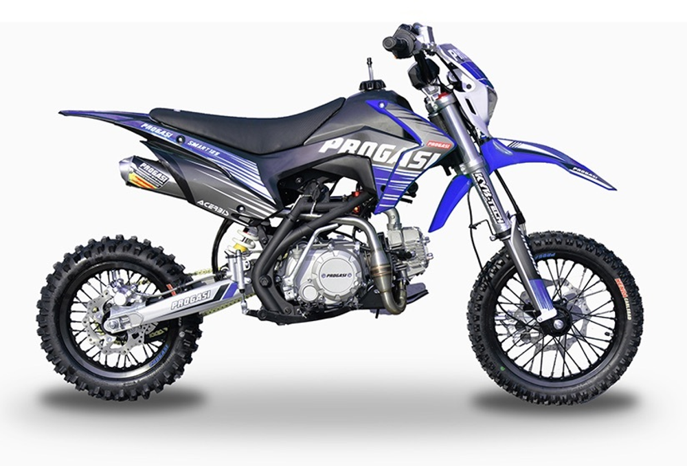 PROGASI SMART MINI 125