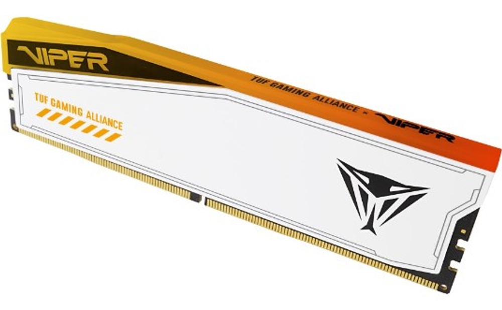 DDR5 48GB (2*24GB) Patriot Memory PVER548G60C36KT
