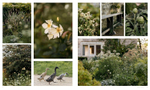 Wonderlands: British Garden Designers at Home