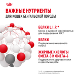 Royal Canin Bengal Adult Бенгал эдалт Корм сухой для взрослых бенгальских кошек старше 12 месяцев 2кг