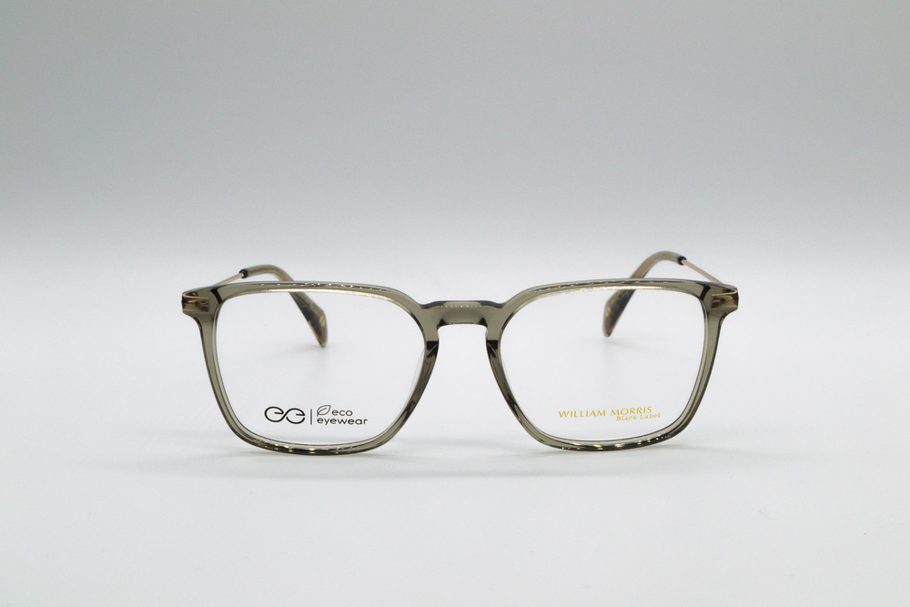 Изг. оправы William Morris Black Label THEO C3 52/17