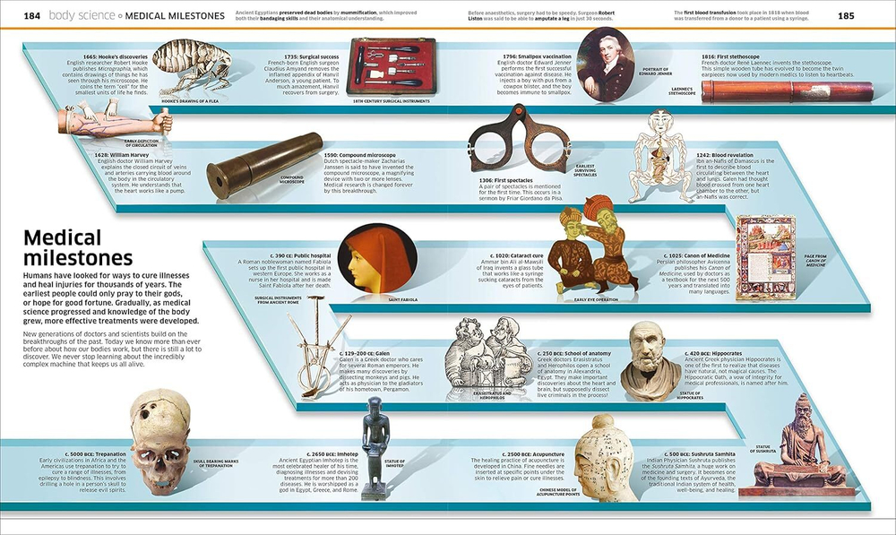 Knowledge Encyclopedia: Human Body!