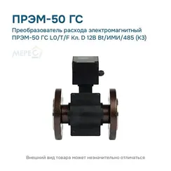 Преобразователь расхода электромагнитный ПРЭМ-50 ГС L0/T/F Кл. D 12В Bt/ИМИ/485 (К3)