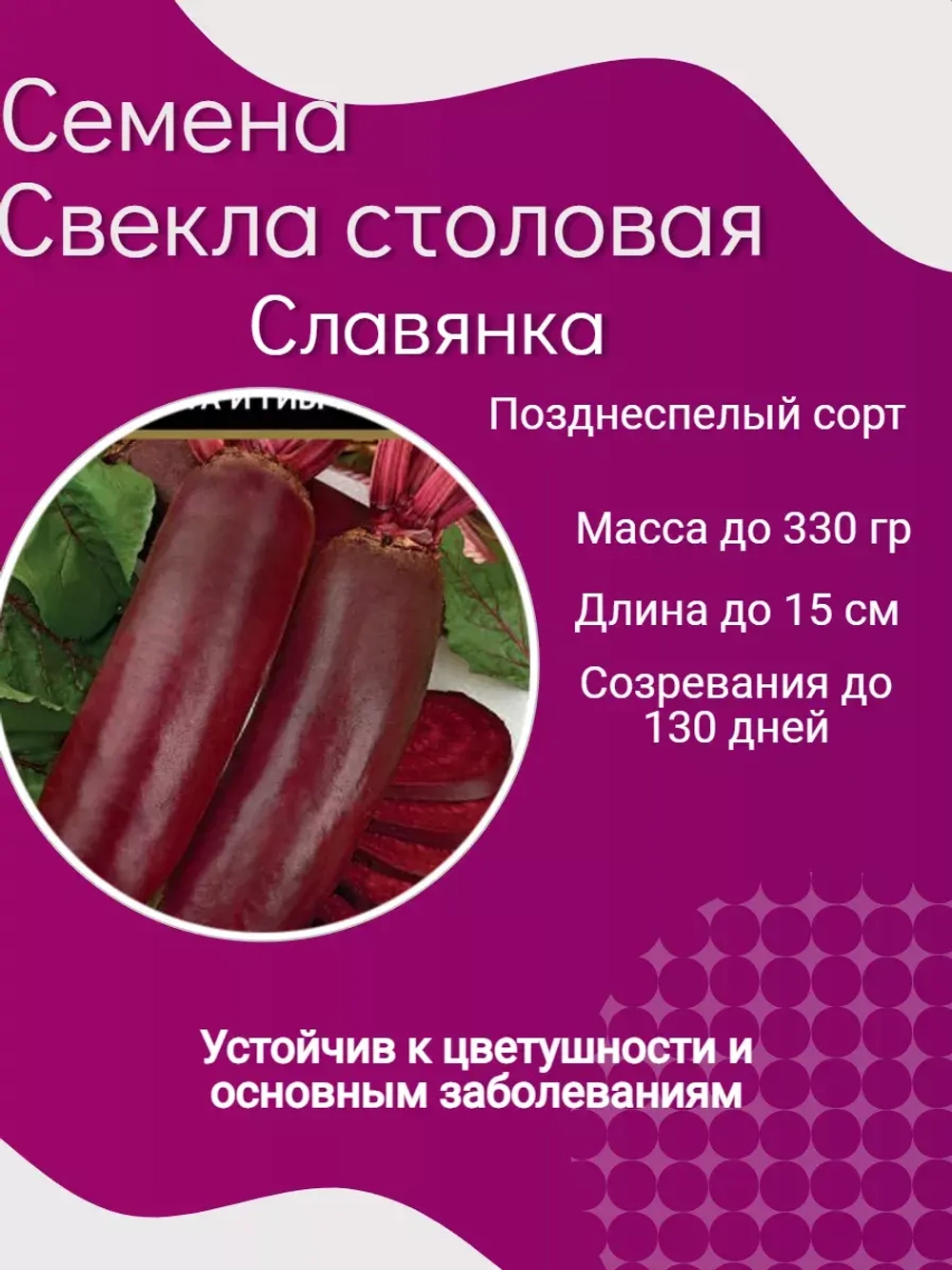 Семена Свекла столовая