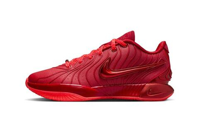 Nike LeBron 21 James Gang