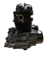 Двигатель в сборе LX166FML 223 куб.см SCR250