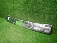 DSCN4101.JPG