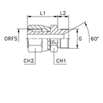 Адаптер AS D35-38 ORFS 2 - BSP 1.1/2