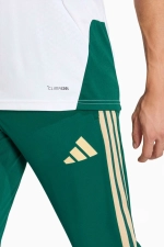 Штаны adidas Италия 2026 Training - зеленый
