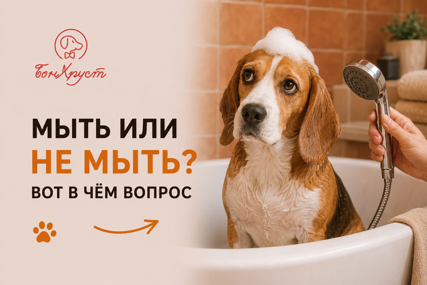 МЫТЬ ИЛИ НЕ МЫТЬ? Вот в чём вопрос 🛁