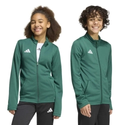 Детская теннисная толстовка Adidas Kids Entrada 26 Track - dark green/white