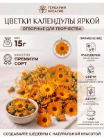 Календулы цветки яркие для творчества