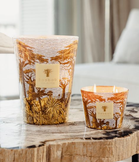 Cocody, свеча MAX 24 Sacred Trees collection, Baobab Collection