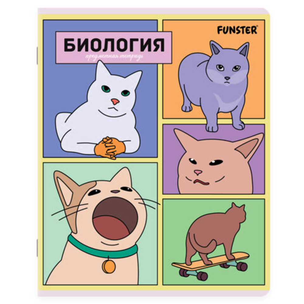 Тетради предметные, КОМПЛЕКТ 12 ПРЕДМЕТОВ, 48л, TWIN лак, FUNSTER, МЕМНЫЕ КОТЫ, 405604