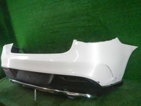 DSCN9490.JPG