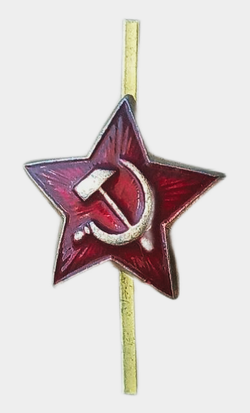 Звездочка армейская