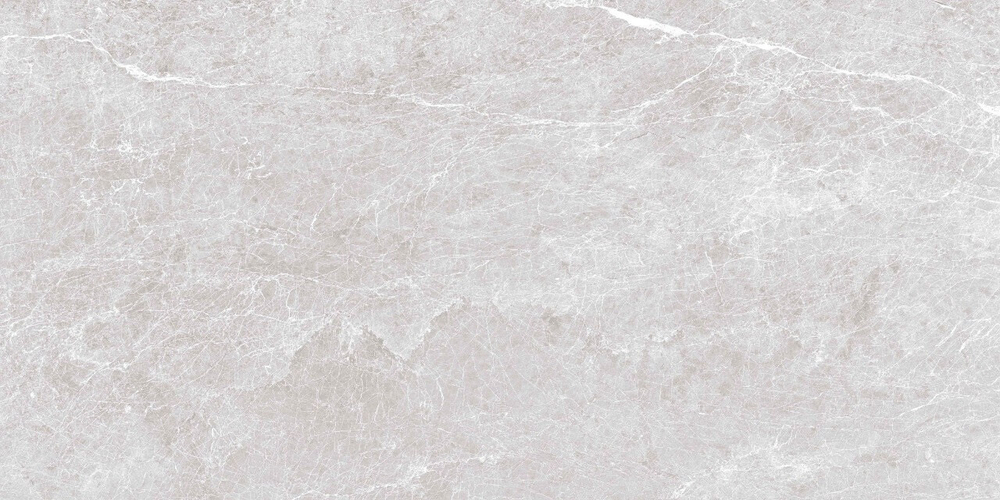 ARTCER Eco Spider Grey 5.5 mm 60x120