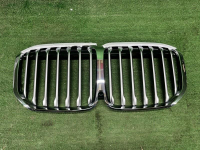 Решетка радиатора BMW X7 G07 (2019-2022)