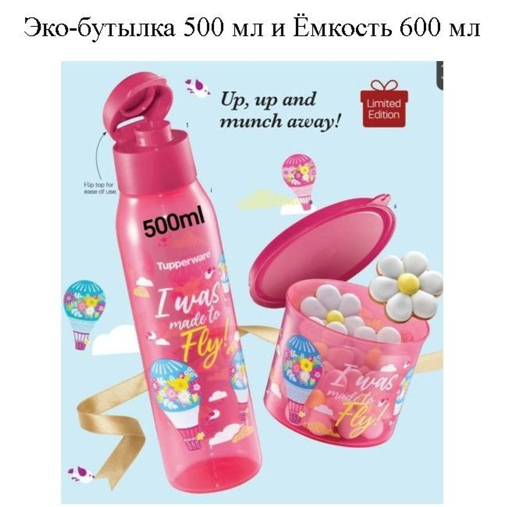 Эко-бутылка (500 мл) и Ёмкость (600 мл)
