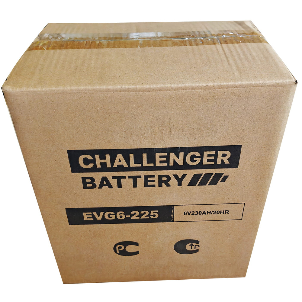 Тяговая аккумуляторная батарея Challenger EVG6-225