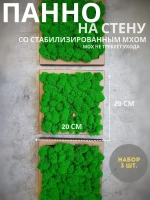 Панно из мха набор 3 шт.