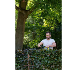 Кусторез Ryobi 36В RY36PHT50A-0 5133005382