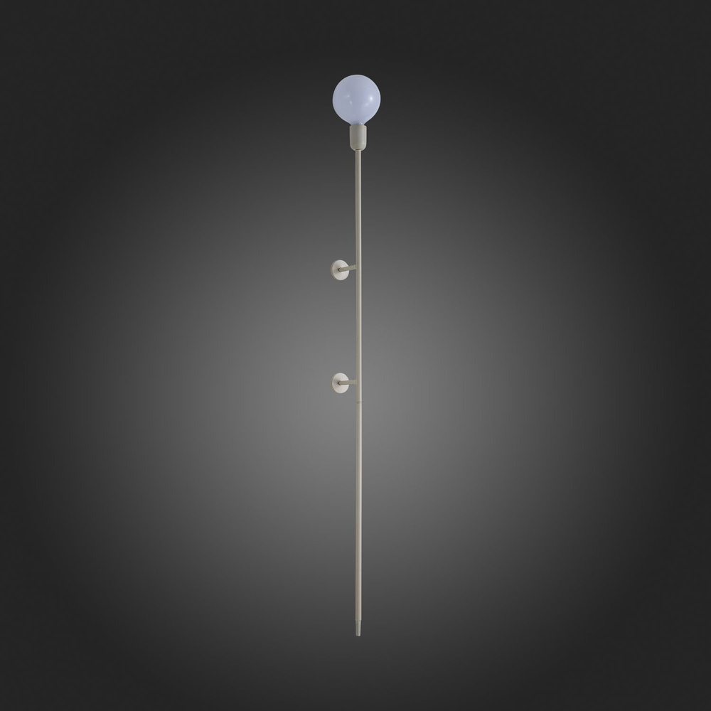 Светильник настенный ST Luce Gante SL1015.401.01
