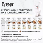 Курица на пару с морковью, 75гр влажный корм для кошек Гурмэ Перл