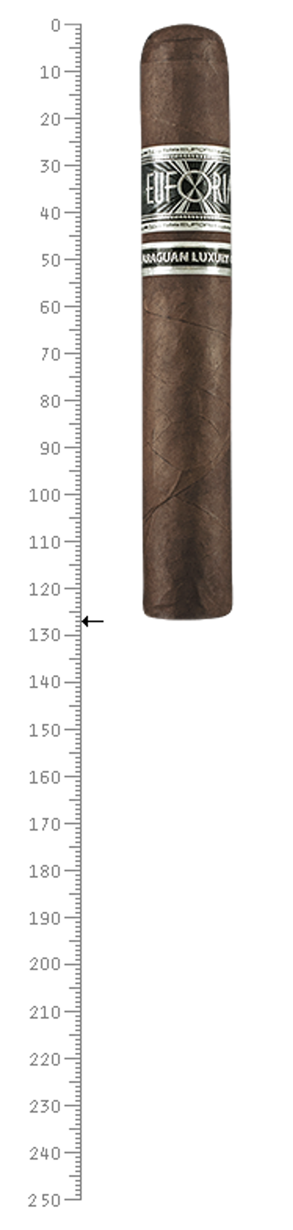 Euforia NLC Robusto