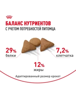 Indoor Appetite Control Корм для домашних кошек 2кг