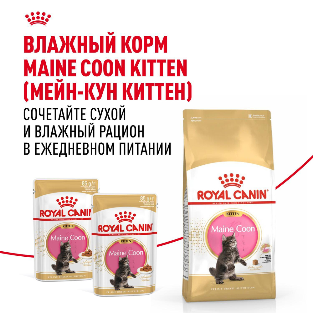 Royal Canin Maine Coon Kitten Киттен Мейн Кун Корм сухой для котят породы Мэйн Кун в возрасте от 4 до 15 месяцев 10кг