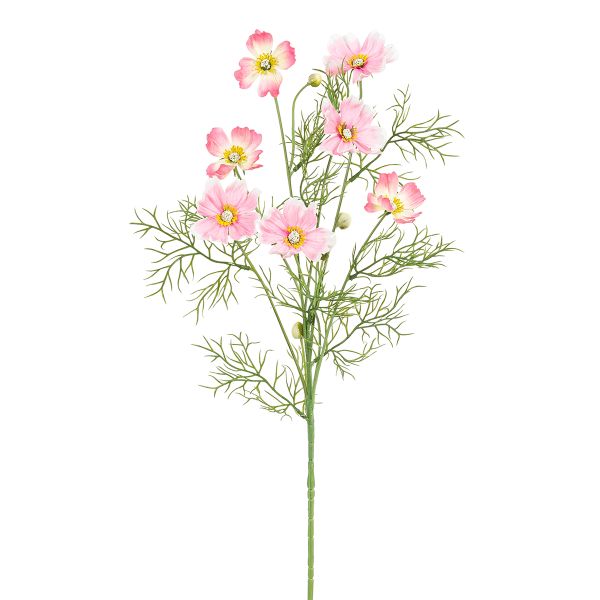 Цветок декоративный Fiebiger Floristik: Космея, 206780-400