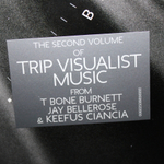 T-Bone Burnett, Jay Bellerose, Keefus Ciancia / The Invisible Light: Spells (2LP)
