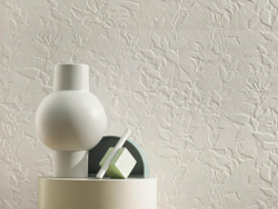 3D Wall Plaster