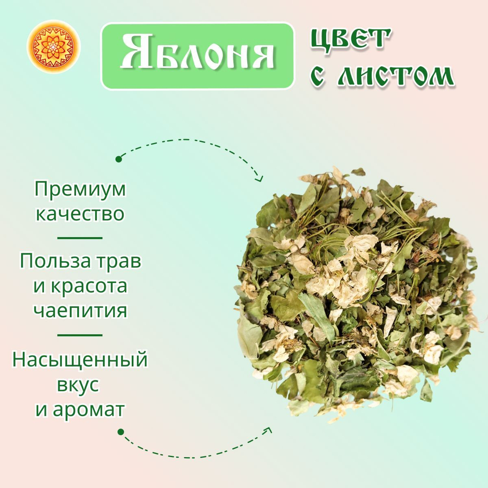 Яблоня (цвет с листом)