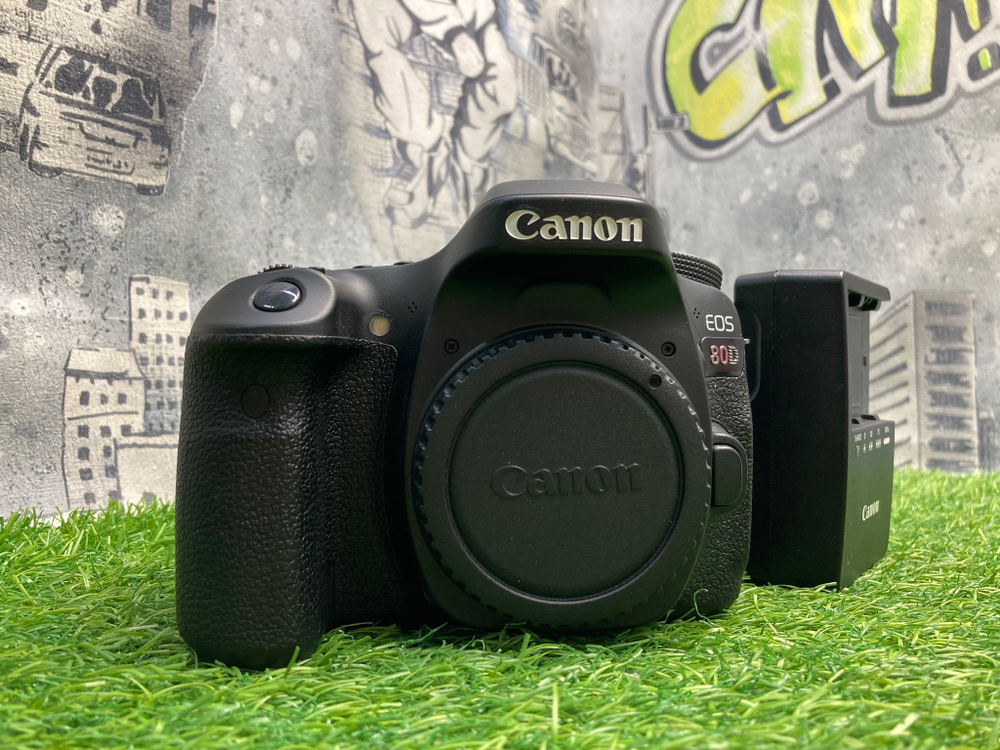 Canon 80D 100 кадров